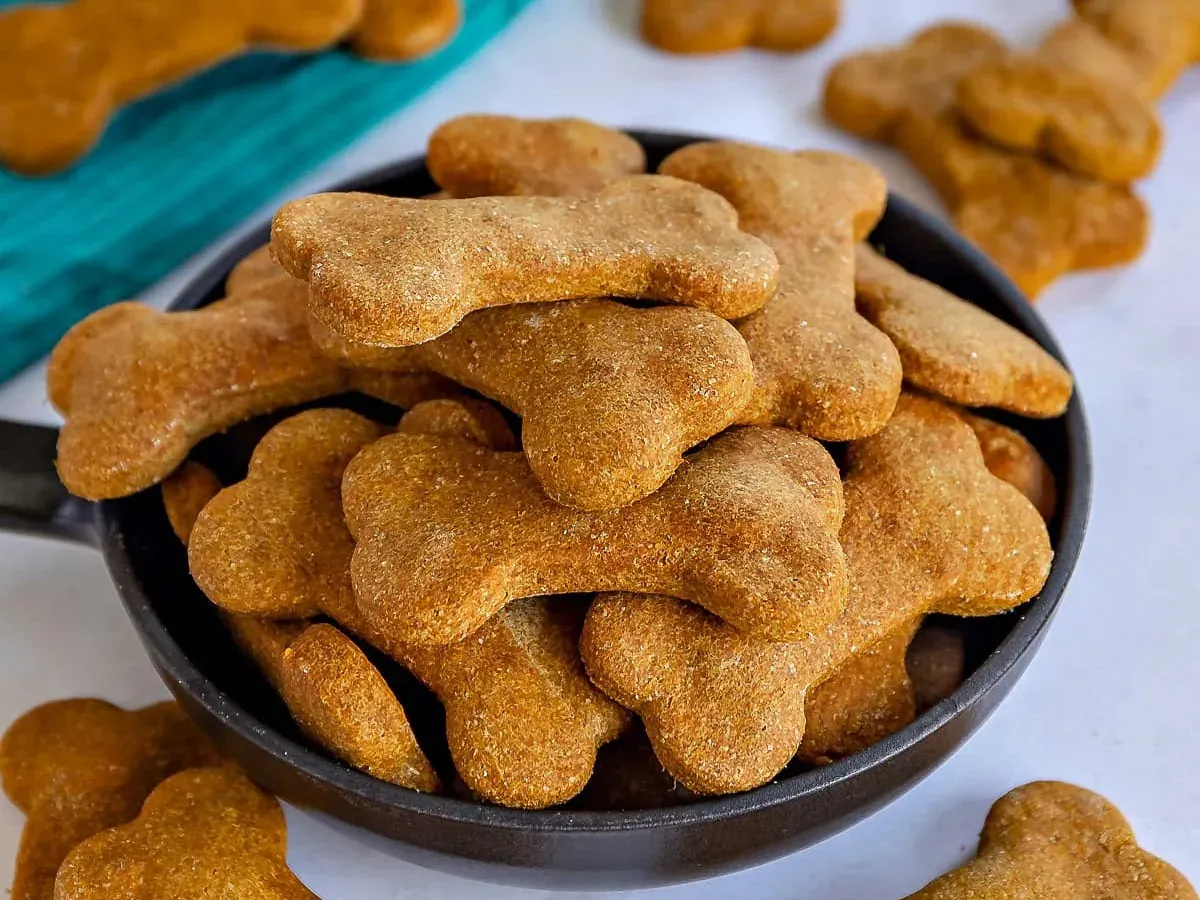 Biscoitos em forma de osso para cães